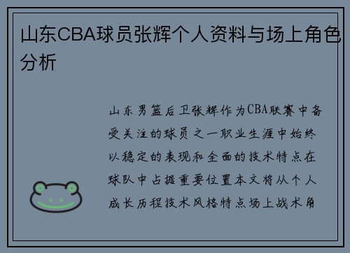 山东CBA球员张辉个人资料与场上角色分析